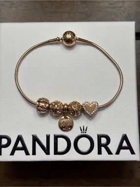 Authentic Pandora Rose Gold Essence Charm Bracelet (Retired)